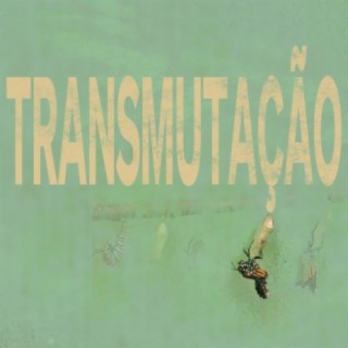 Transmutação