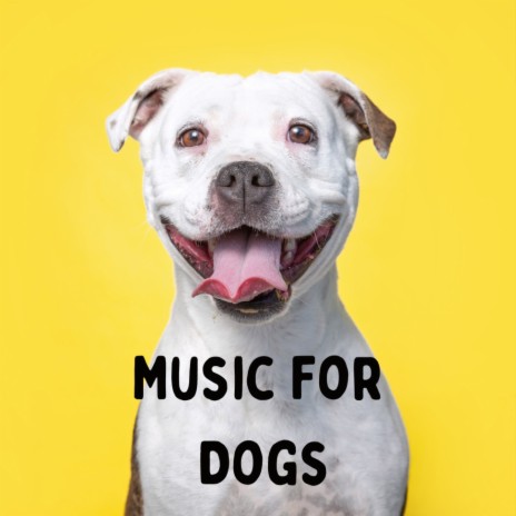 Sweet Soft Lullaby ft. Music For Dogs Peace, Relaxing Puppy Music & Calm Pets Music Academy | Boomplay Music