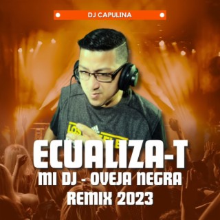 Mi Dj (Remix 2023)