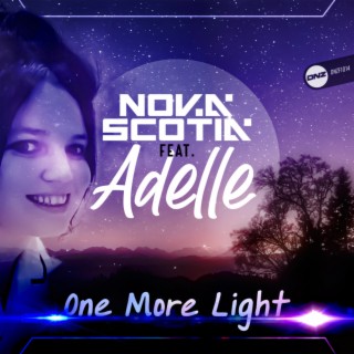 one more light album sings