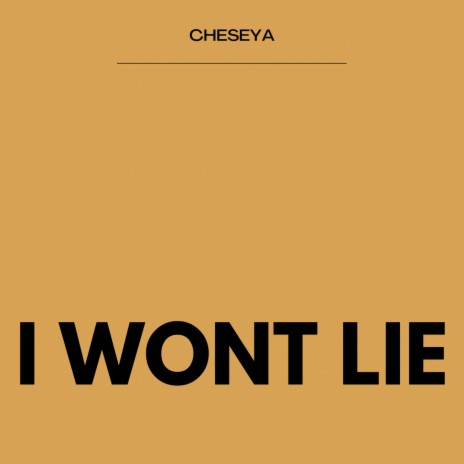 I Won't Lie | Boomplay Music