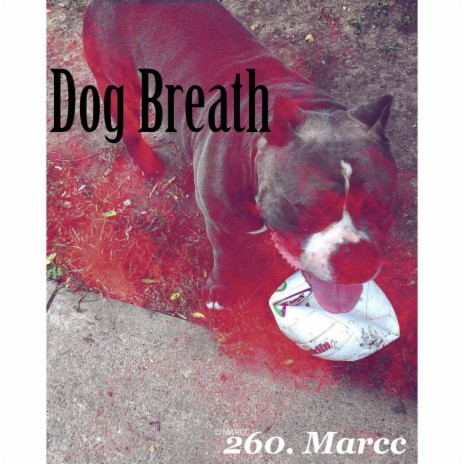 Dog Breath | Boomplay Music