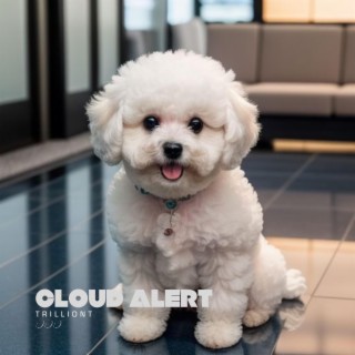 Cloud Alert! ☁️