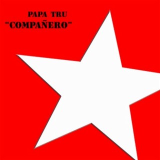 Compañero