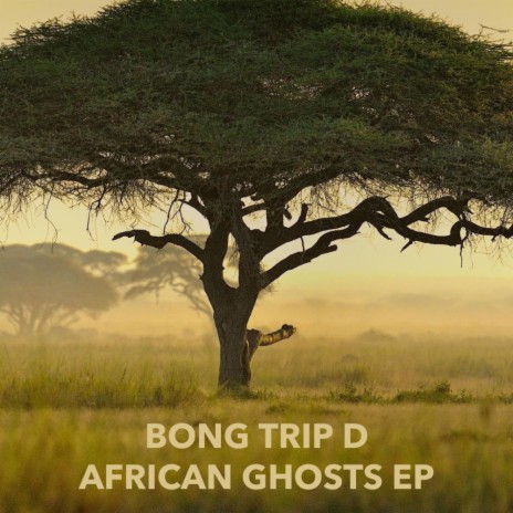 Sound of Africa | Boomplay Music