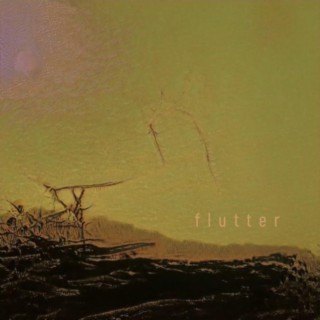 Flutter