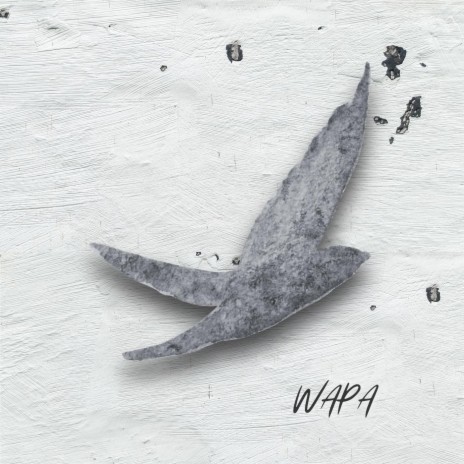 Wapa | Boomplay Music