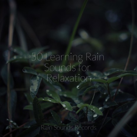 Melancholy Drizzle ft. Relaxing Mindfulness Meditation Relaxation Maestro & Canciones de Cuna para Bebés Académico | Boomplay Music