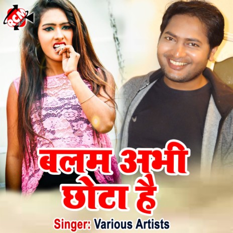 Choliya Ke Hook Tora Lage Niman | Boomplay Music