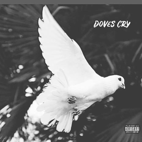 Doves Cry | Boomplay Music