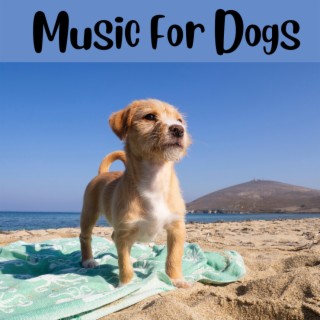 Music For Dogs