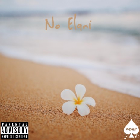 No Elani | Boomplay Music
