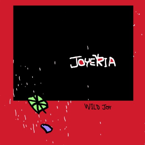 Wild Joy | Boomplay Music