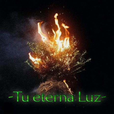 Tu eterna luz | Boomplay Music