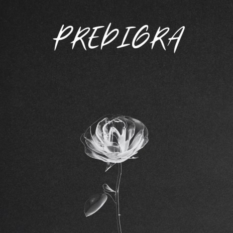 Predigra | Boomplay Music