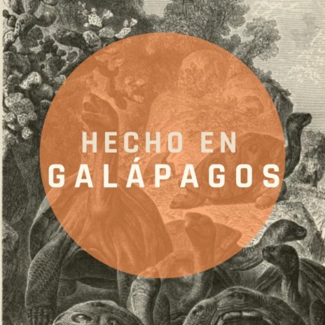 Hecho en Galápagos | Boomplay Music