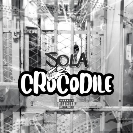 Crocodile | Boomplay Music