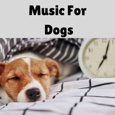 Pooch Promenade ft. Music For Dogs Peace, Relaxing Puppy Music & Calm Pets Music Academy | Boomplay Music
