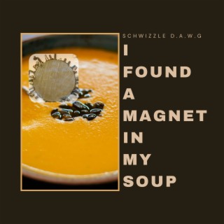 I Found a Magnet in My Soup