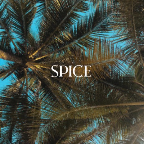 Spice | Boomplay Music