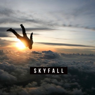 Skyfall lyrics | Boomplay Music