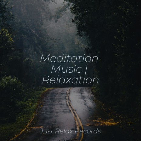 Melody's Meadow Journey ft. MEDITATION SPA & CANCIONES DE CUNA | Boomplay Music