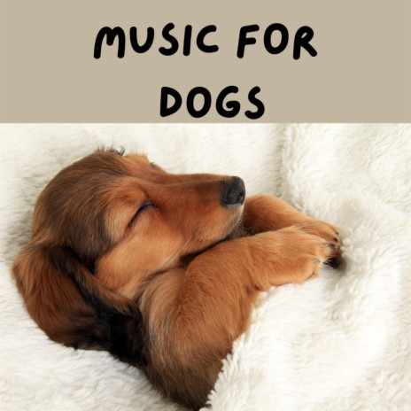 Sleep Time Song ft. Music For Dogs Peace, Relaxing Puppy Music & Calm Pets Music Academy | Boomplay Music