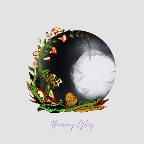 Morning Glory | Boomplay Music