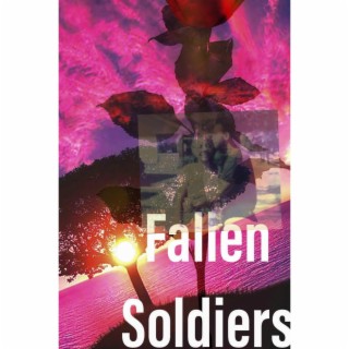 Fallen Soldiers lyrics | Boomplay Music