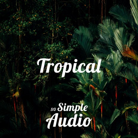 Tropical | Boomplay Music