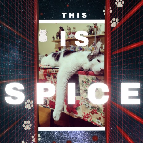 SPICE | Boomplay Music