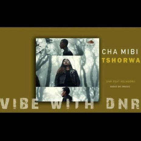 Cha Mibi Tshorwa ft. KenLDorji | Boomplay Music