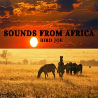 Sounds from Africa