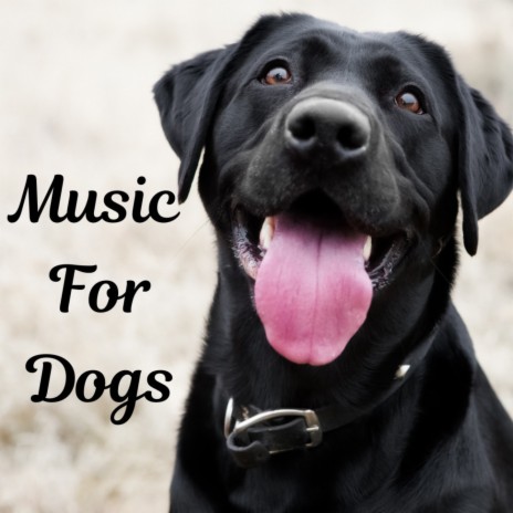 Tail-Wagging Tracks ft. Music For Dogs Peace, Relaxing Puppy Music & Calm Pets Music Academy | Boomplay Music