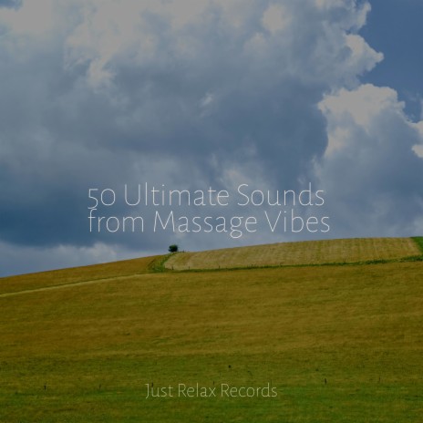 Elusive Solitary Journey ft. Naturaleza Sonidos & Pro Sound Effects Library | Boomplay Music