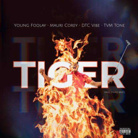 Tiger (feat. Mauri Corey, DTC Vibe & DtoneBeatz)