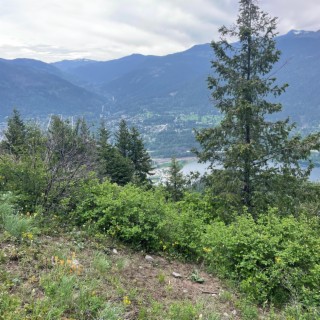 Puplite trail and flag pole trail
