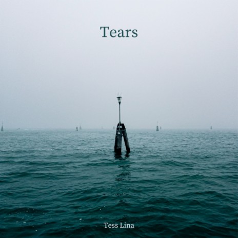 Tears | Boomplay Music