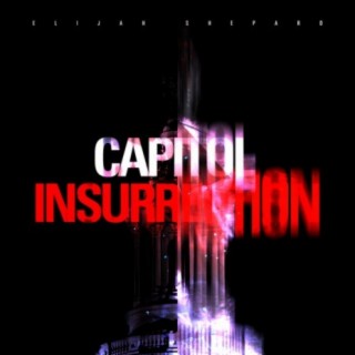 Capitol Insurrection