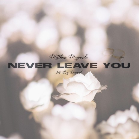 NEVER LEAVE YOU (feat. Big Diamond) | Boomplay Music