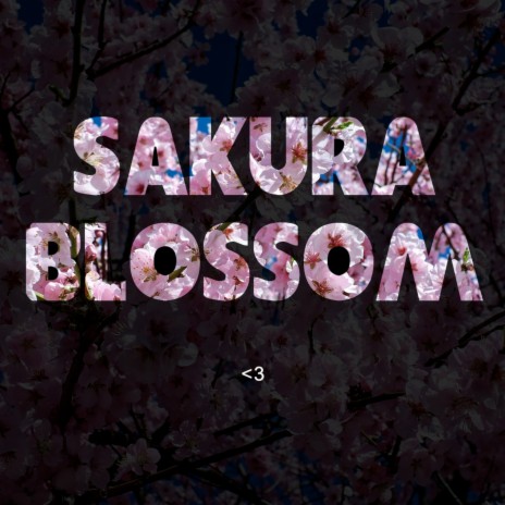 Sakura Blossom | Boomplay Music