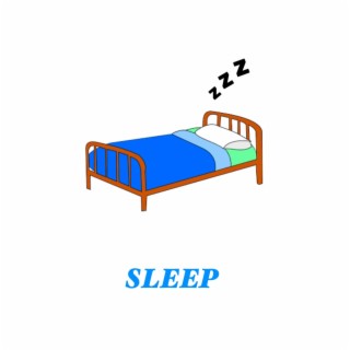 SLEEP lyrics | Boomplay Music