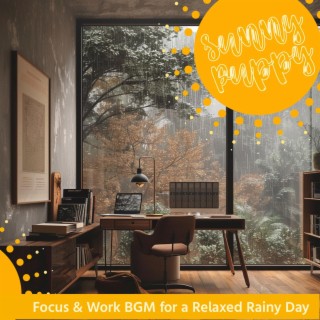 Focus & Work Bgm for a Relaxed Rainy Day