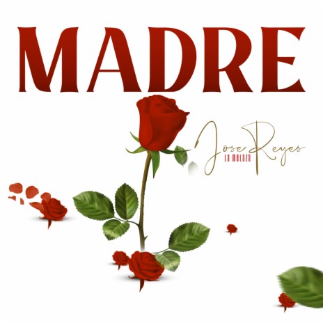 Madre | Boomplay Music