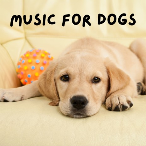 Dog Instrumental Music ft. Music For Dogs, Relaxing Puppy Music & Calm Pets Music Academy | Boomplay Music