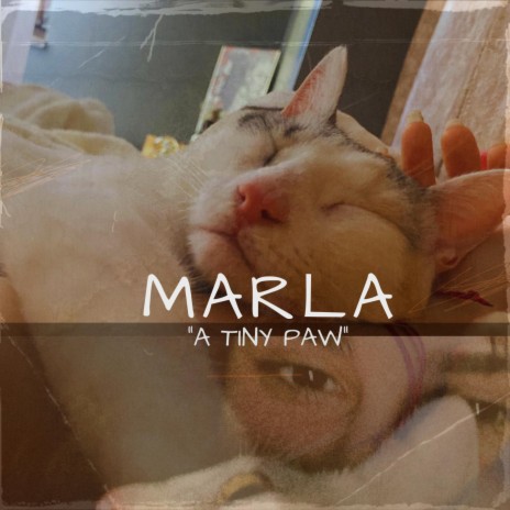 Marla a tiny paw | Boomplay Music