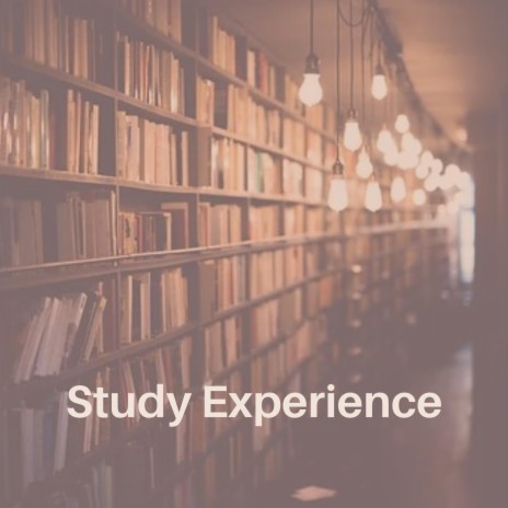 Study Experience | Boomplay Music