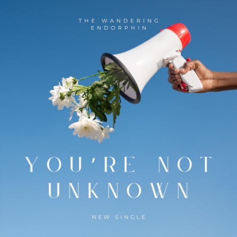 You're Not Unknown | Boomplay Music