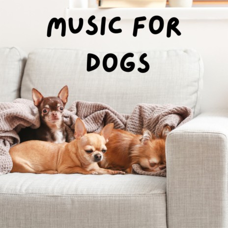 Bed Time Music ft. Music For Dogs Peace, Relaxing Puppy Music & Calm Pets Music Academy | Boomplay Music