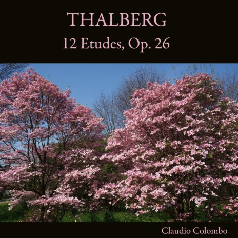 12 Etudes, Op. 26: III. Allegro moderato | Boomplay Music